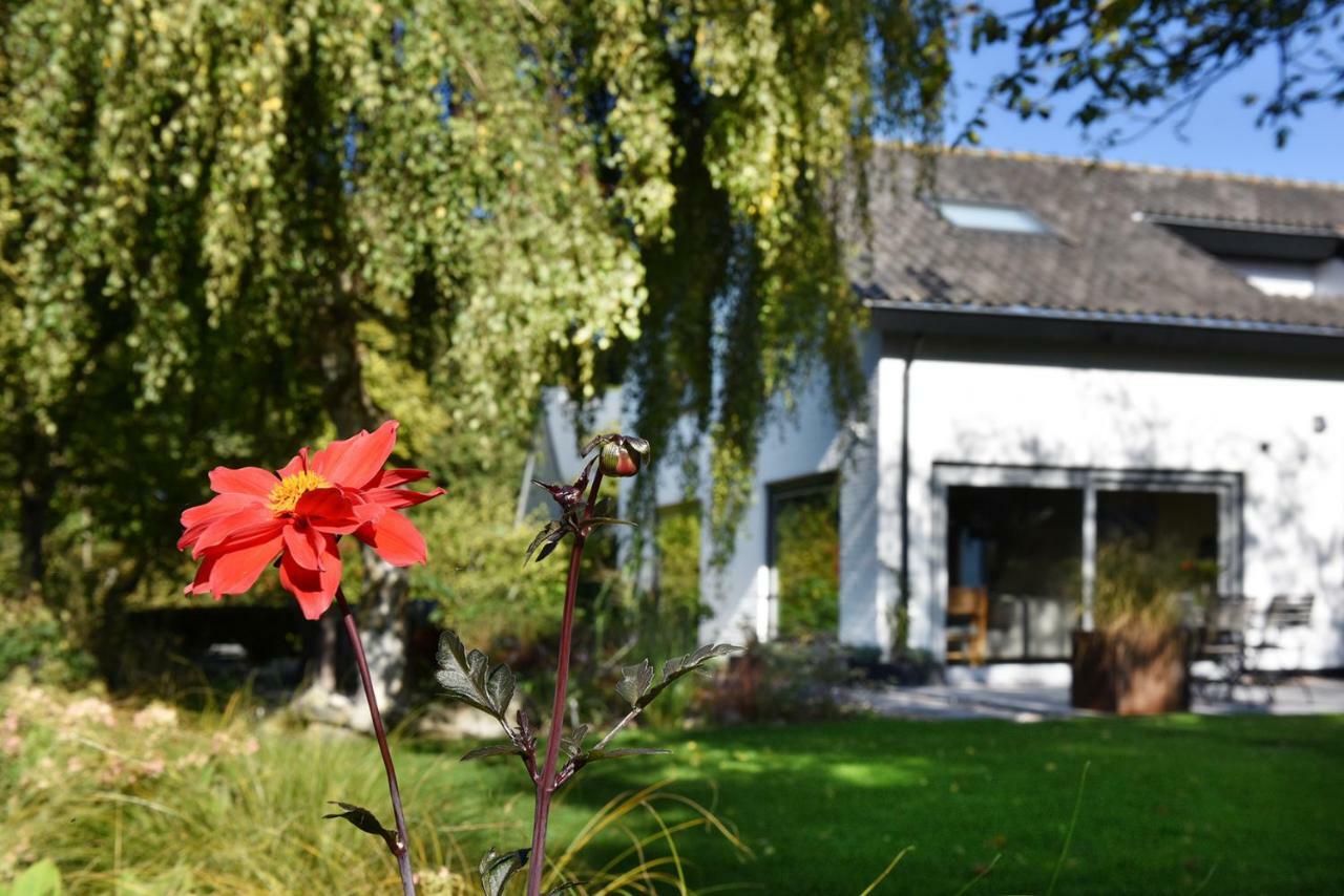 Vakantiehuis Astrantia *